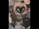 Sebastian