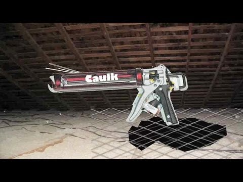 how to remove squirrels from attic