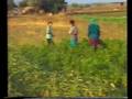 videos de Title 1-Chapter 2-1.wmv