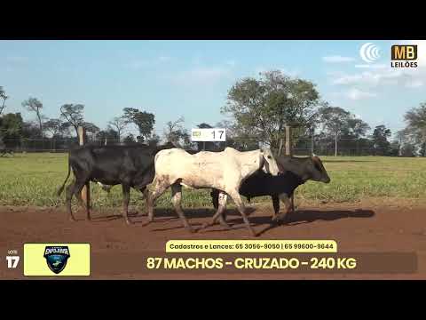 1� LEIL�O EXPOJUINA - 2026