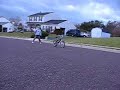 ghosting 3