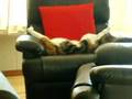 videos de Priscillas missing head