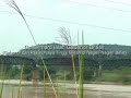 Jambatan Keretapi Guillenard