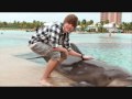 JB baby