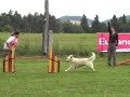 Lo?nica Agility Maja TOLAR 12 05 2007