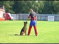 Schutzdienst Schäferhund Schutzdienst Schäferhund