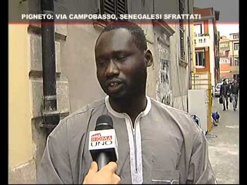 guarda il video