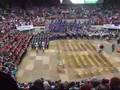 TBDBITL