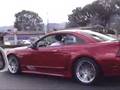 2001 Ford Mustang Saleen S281