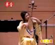 琵琶 Pipa - Fan wei's Han Ya Xi Shui 樊微 - 寒鸦戏水