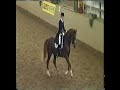 Dressage S Level Dressage S Level