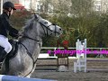 concour du 25/02/2007 a saint brieuc �quitation