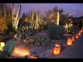 Desert Botanical Gardens Luminarias Desert Botanical Gardens Luminarias
