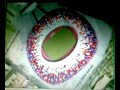 Simulacion Nou Camp Nou