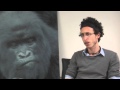 How to Book a Gorilla Safari through World Primate Safaris