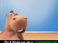 hippo & dog