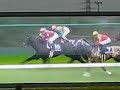 ?????38???????38th Takamatsunomiya Kinen? ?????38???????38th Takamatsunomiya Kinen?
