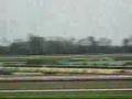 中京競馬場動画16
