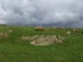 Montesa