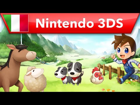 Immagine anteprima YouTube