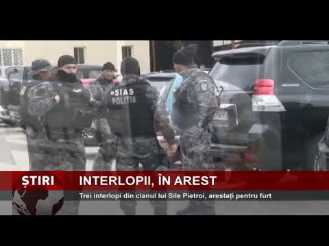 Trei interlopi din clanul lui Sile Pietroi, arestați pentru furt