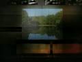 My Montage 11/19/08