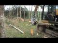 Harvester (Cosechadora Forestal)