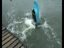 Tristan-Floop