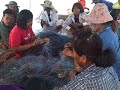 Thailand - Choa Loa Bay Marine Conservation