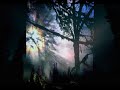 Bisounours - Cocorosie