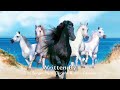 All the Pretty Horses