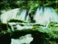 Half Moon - Jamaica Tourism Video Half Moon - Jamaica Tourism Video