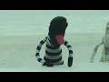 Sok & Jay - Dem der går med kniv har en lille dolk