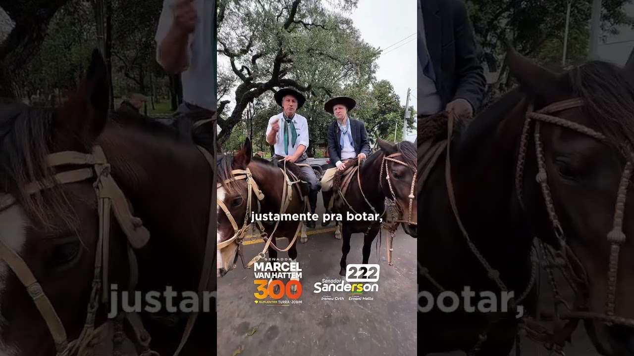 Até o cavalo concordou: Deltan, estamos contigo!!!