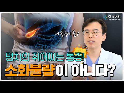 소화불량인 줄 알았던 명치 통증! 진짜 원인은 따로 있습니다!<span class=