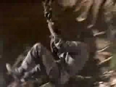 YouTube: Space Cases