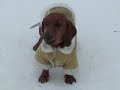 zima_laki_090110.mpg