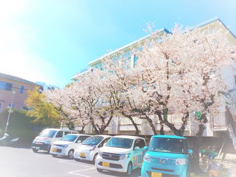 海風学園　紹介動画