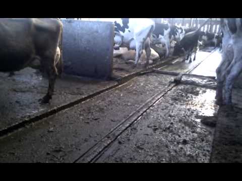 Upgrade of Malgar ratchet to Dairypower rope Upgrade of Malgar ratchet to Dairypower rope
