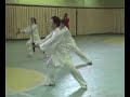 Chen Sword by master Wang Lin Chen Sword by master Wang Lin