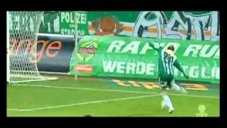 Hamdi Salihis Treffer für Rapid (2009/10)