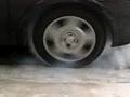 Corsa do tarter fritando