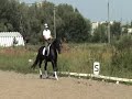 borus