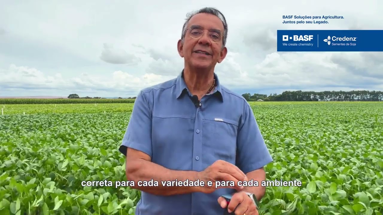 População de Plantas na Soja: Como Ajustar para Máxima Produtividade | BASF Agro Brasil