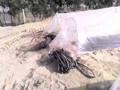how to fertilize through a drip irrigation system