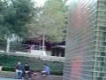 videos de fountain boarding
