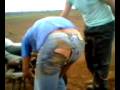 videos de MOV0092A.3gp