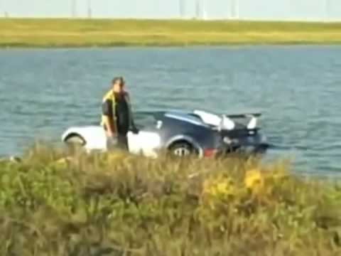 Видео: И птичка тут не причем!