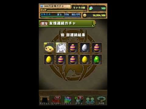 アメリット 出現