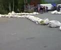 admv drift cup in aue